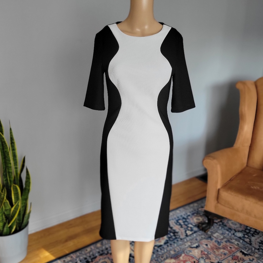 Bisou Bisou Dress, Size 4, Black & White, Bodycon, Knee Length, Short Sleeve